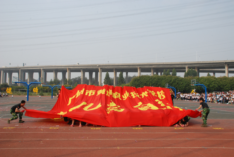 2014ְУĽߵʮһ˶