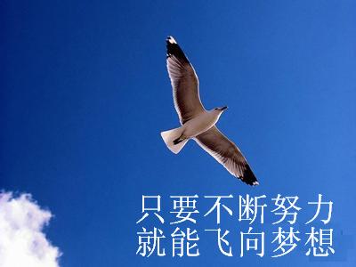 机械制图(十、装配图)